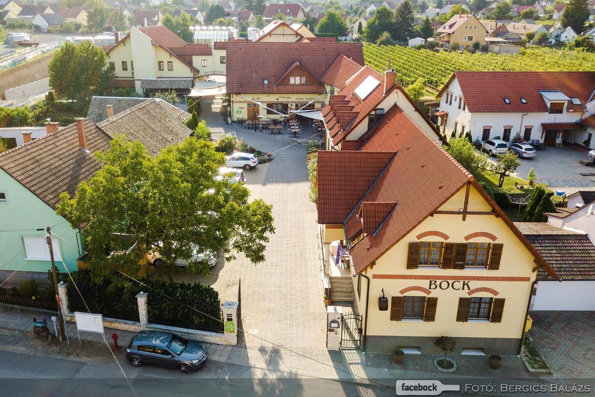 Villány Bock Hotel Ermitage מראה חיצוני תמונה